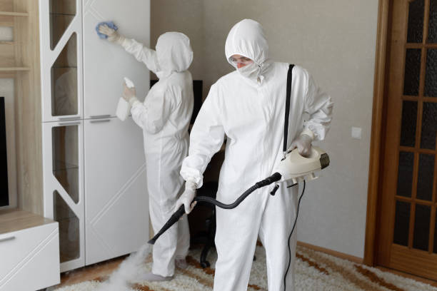 Best Commercial Mold Removal  in Gra Forks Af, ND