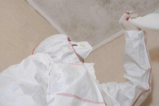 Best Attic Mold Removal  in Gra Forks Af, ND