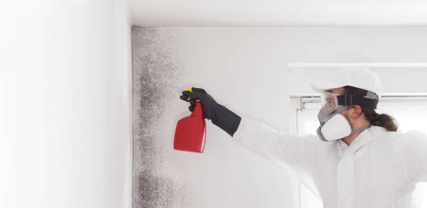 Best Emergency Mold Removal  in Gra Forks Af, ND